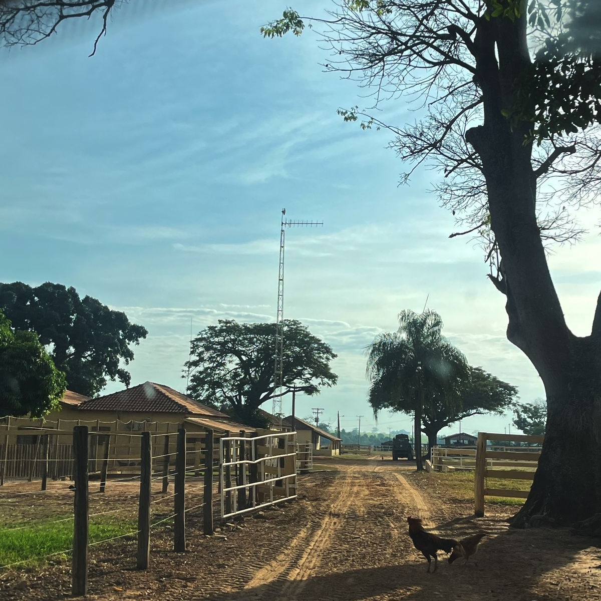 Rota Rural